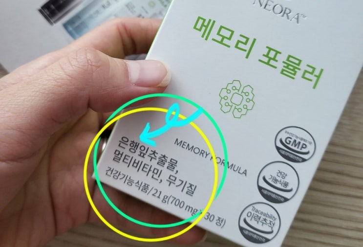  은행잎 추출물이 들어간  뇌영양제추천!