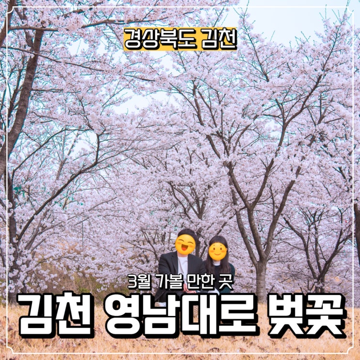  [경상북도] 김천 가볼 만한 곳, 김천 영남대로 벚꽃길