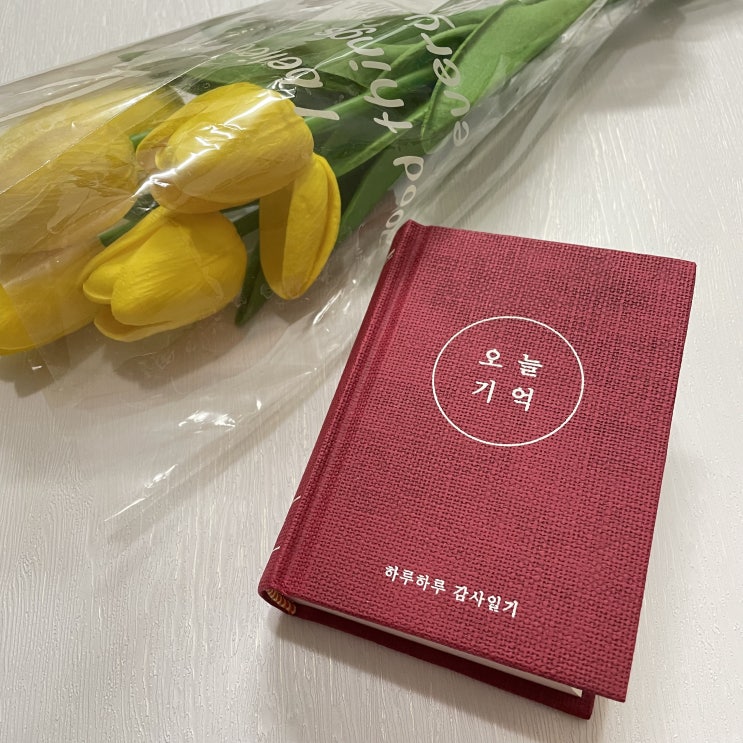  오늘기억 감사일기 데일리다이어리 매일에 감사하기