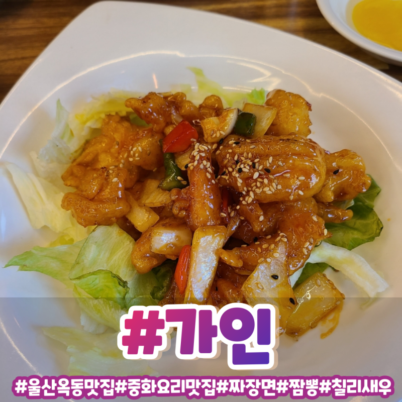 울산 옥동 중국집, 중화요리 맛집 - 가인