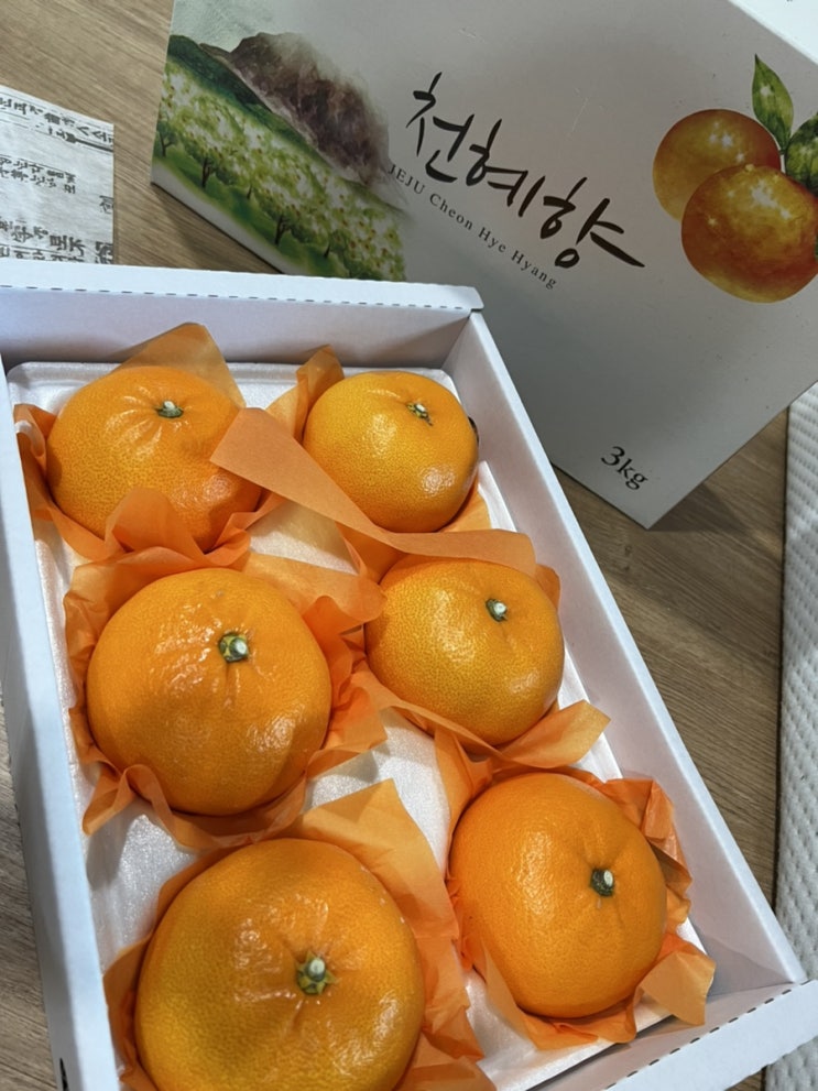  내돈내산 <제주명품 천혜향> 리뷰 왕마시썽 ㅠ꼭목쟈