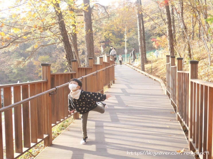  천안 태조산 공원 아이랑 데크길 산책해요~!