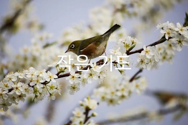  작은 기도