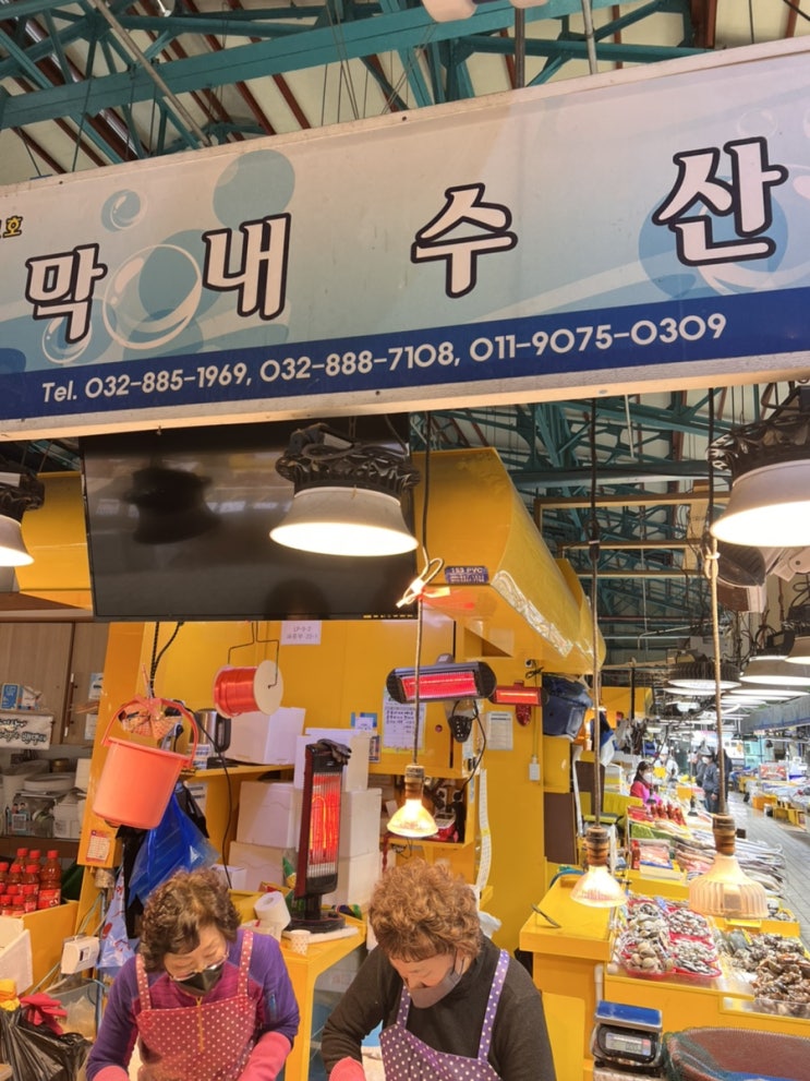 인천종합어시장 쭈꾸미 새조개 막내수산 싸다싸