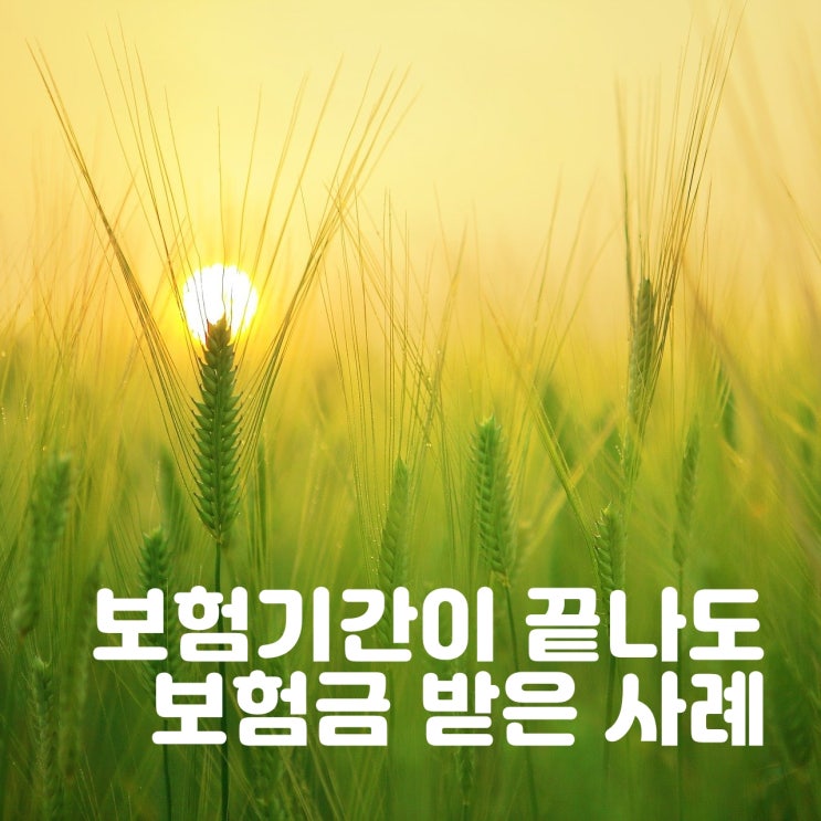  보험기간이 끝나도 보험금 받은 사례