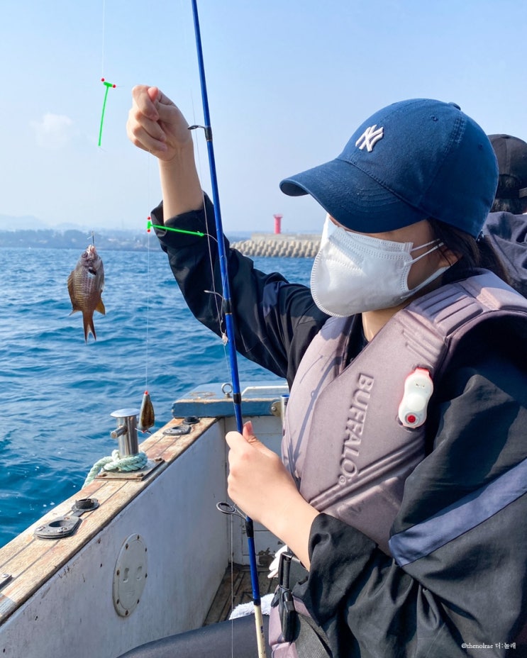 [서귀포/배낚시] 제주도 위미항 그랑블루호 배낚시 체험 후기