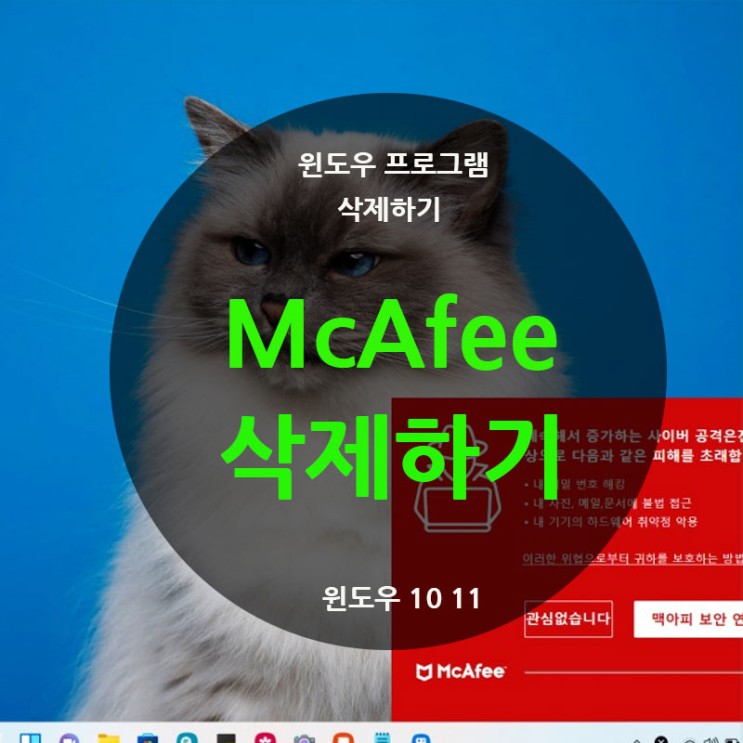 윈도우11 10 프로그램 삭제하기 McAfee 맥아피