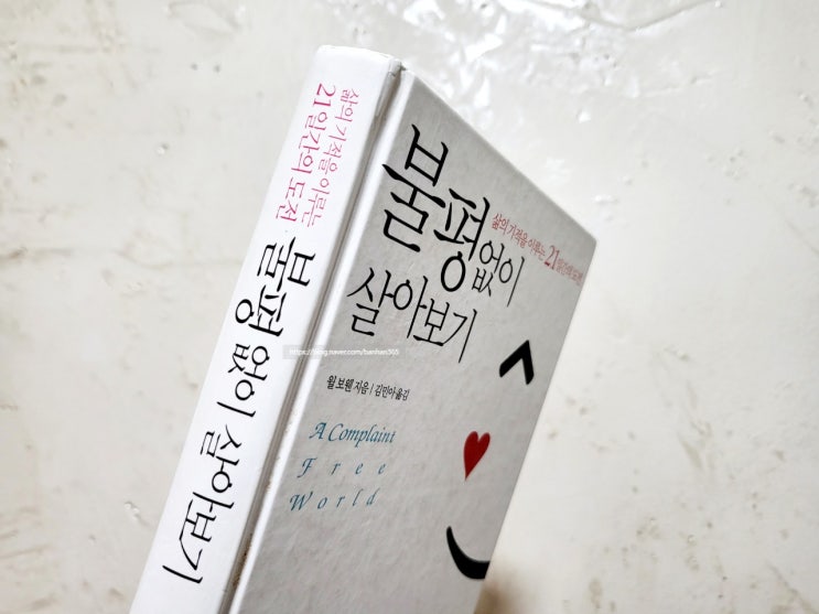  불평 없이 살아보기 - 윌 보웬