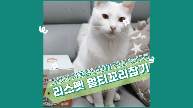 고양이 자동 장난감, 리스펫 멀티 꼬리잡기 반응 대박 (feat.Wit)