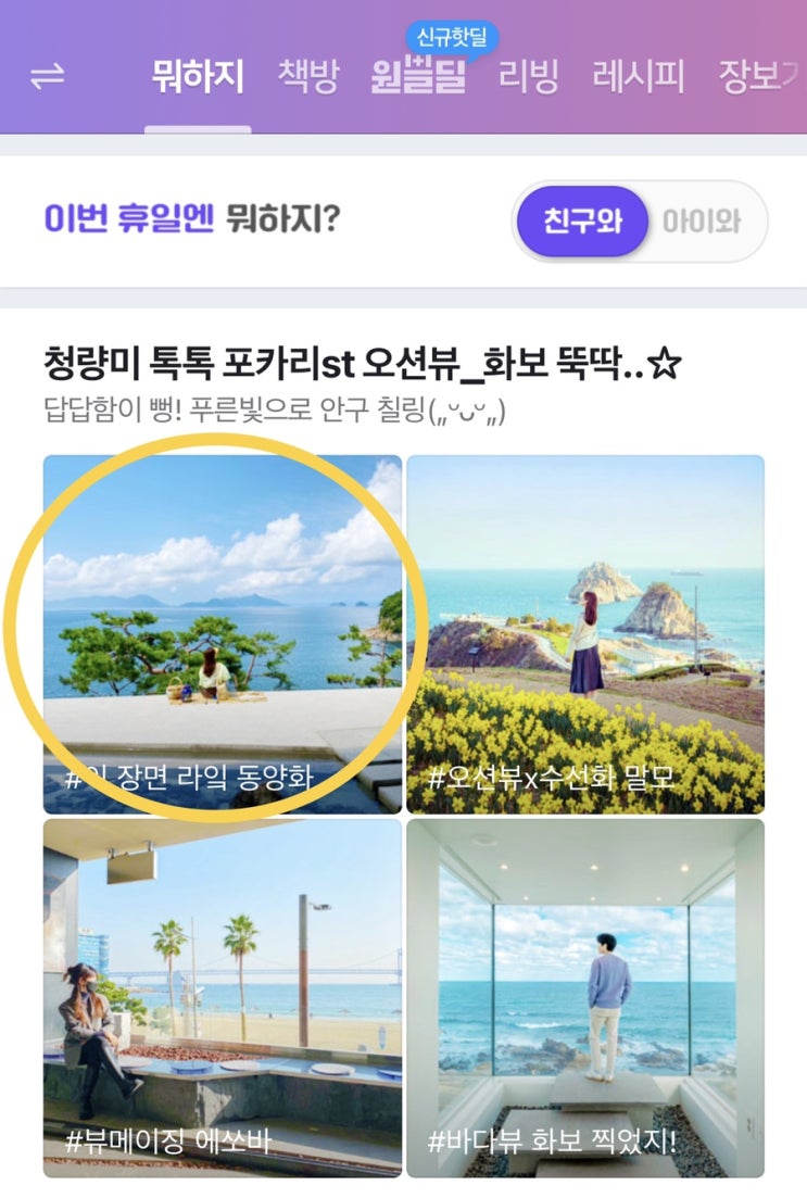 1초 하와이 통영 네르하_ '네이버 뭐하지판' 메인 화면에 또?