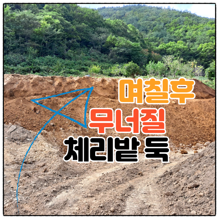  맹지 구입  잘못하면 망합니다.[귀농 3년 차 체리농장 만들기]