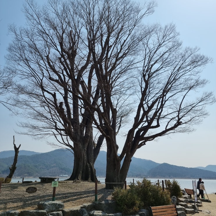  두물머리(양수리) 물래길 산책