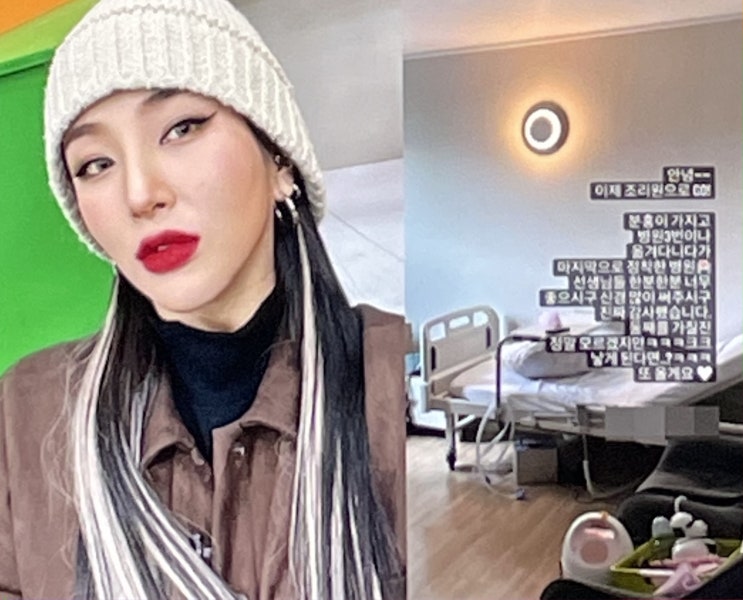 자이언트핑크 조리원 어디 자녀 성별 득남 남편 누구 직업 나이차이 한동훈 자이언트핑크 조리원 어디 자녀 성별 득남 남편 누구 직업 나이차이 한동훈