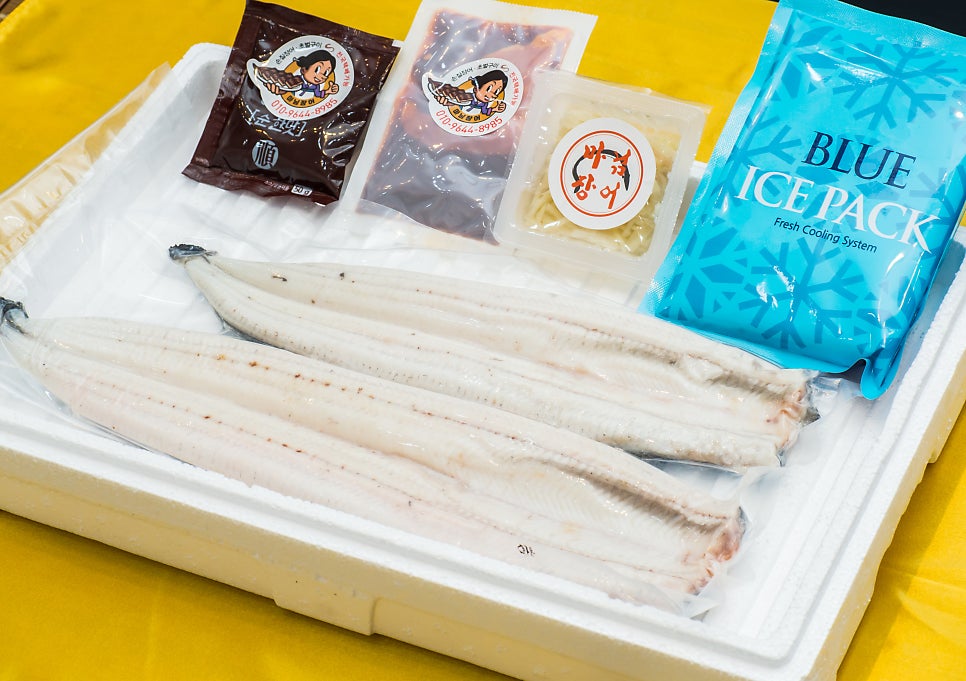 마님장어 사진 6