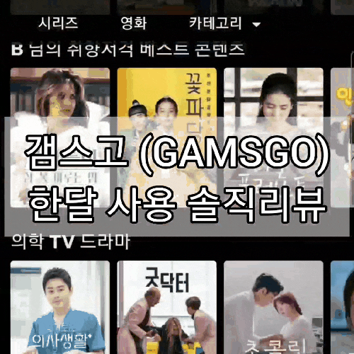 갬스고(GamsGo) 내돈내산 한달 사용 리뷰 (feat, 할인코드) 갬스고(GamsGo) 내돈내산 한달 사용 리뷰 (feat, 할인코드)