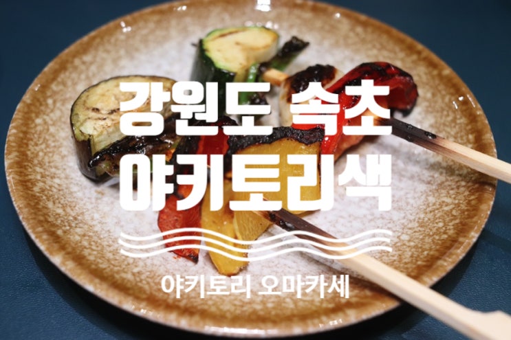  속초 신상맛집 [ #야키토리색 ] #내돈내산 #일본식꼬치구이 #속초맛집 #속초신상맛집 #속초가오픈