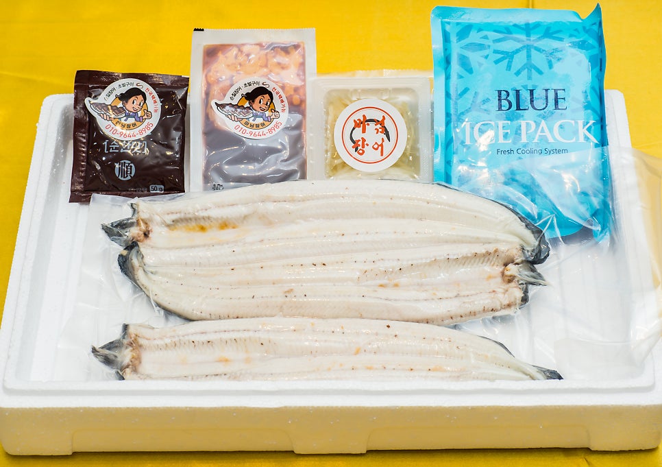 마님장어 사진 3