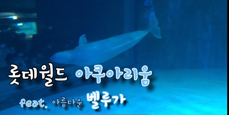  [롯데월드 아쿠아리움] 아이들과 함께 가볼만한 곳, 역시 #롯데월드 그리고 #아쿠아리움 (벨루가 구경은 덤이다)
