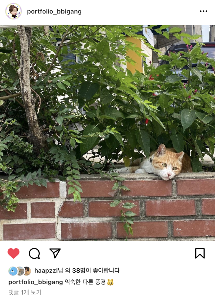  Resat 인스타그램 포트폴리오 제작 챌린지 Day 6