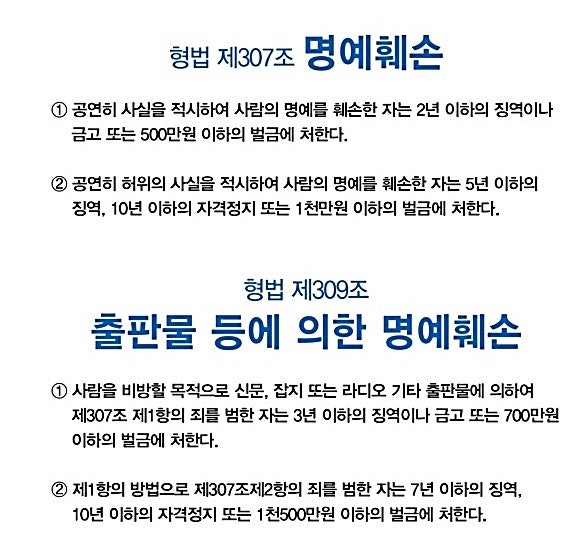 허위사실명예훼손 확실한 대응방안 2