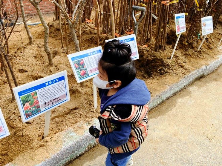  제 77회 식목일 세컨포레스트와 함께하는 내 나무 갖기 캠페인(2nd foRest x 회복의숲)