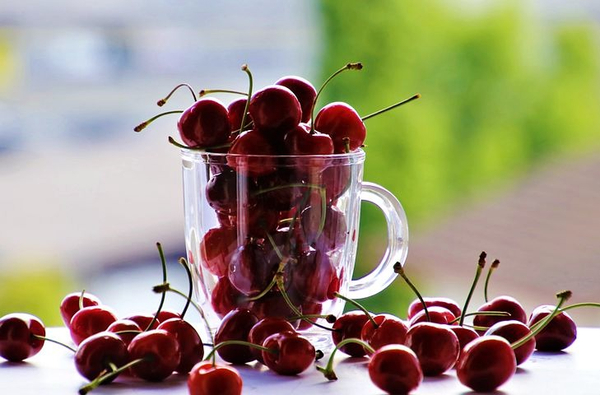 체리의 효능알아보아요