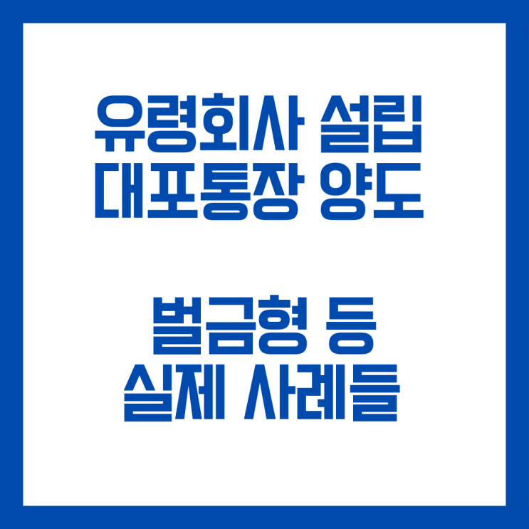  유령법인 설립 대포통장 만드는 업무방해와 전자금융거래법위반 벌금형 약식명령 등 특징과 실제사례들입니다