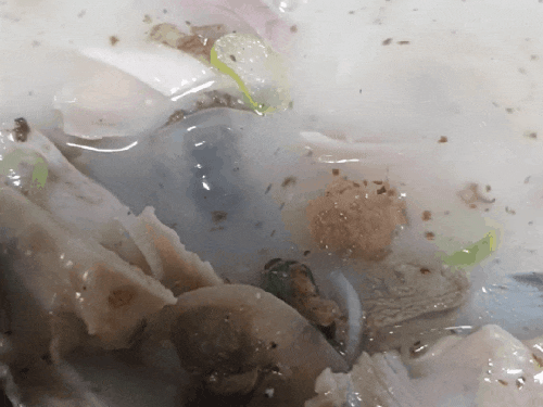  서산국밥 병천순대에서 순댓국 먹었어요