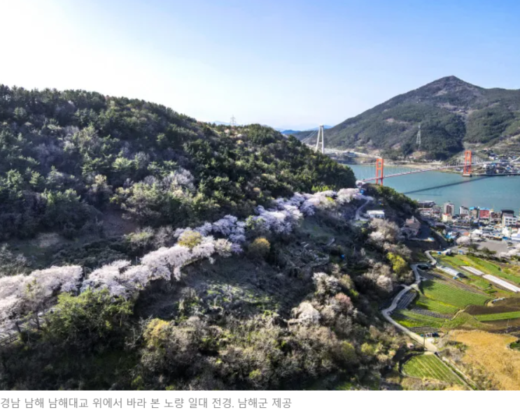 2022년 뉴스로 보는 벚꽃 명소 개방