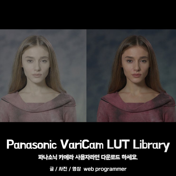  파나소닉 카메라 사용자라면 다운로드하세요.(Panasonic VariCam LUT Library)