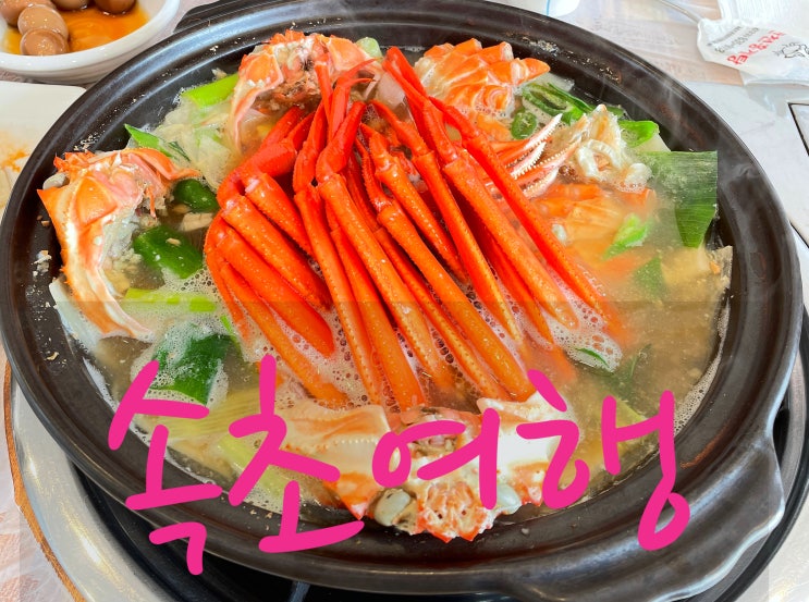  [속초여행] 찐 맛집 만천홍게탕 / 현대아바이순대 수산시장 충남상회 방어회 그리고 카페 칠성조선소