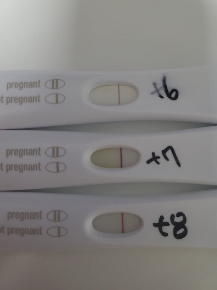  미혼 임신 첫번째 시도 : 배란 8일째. First response 너어..