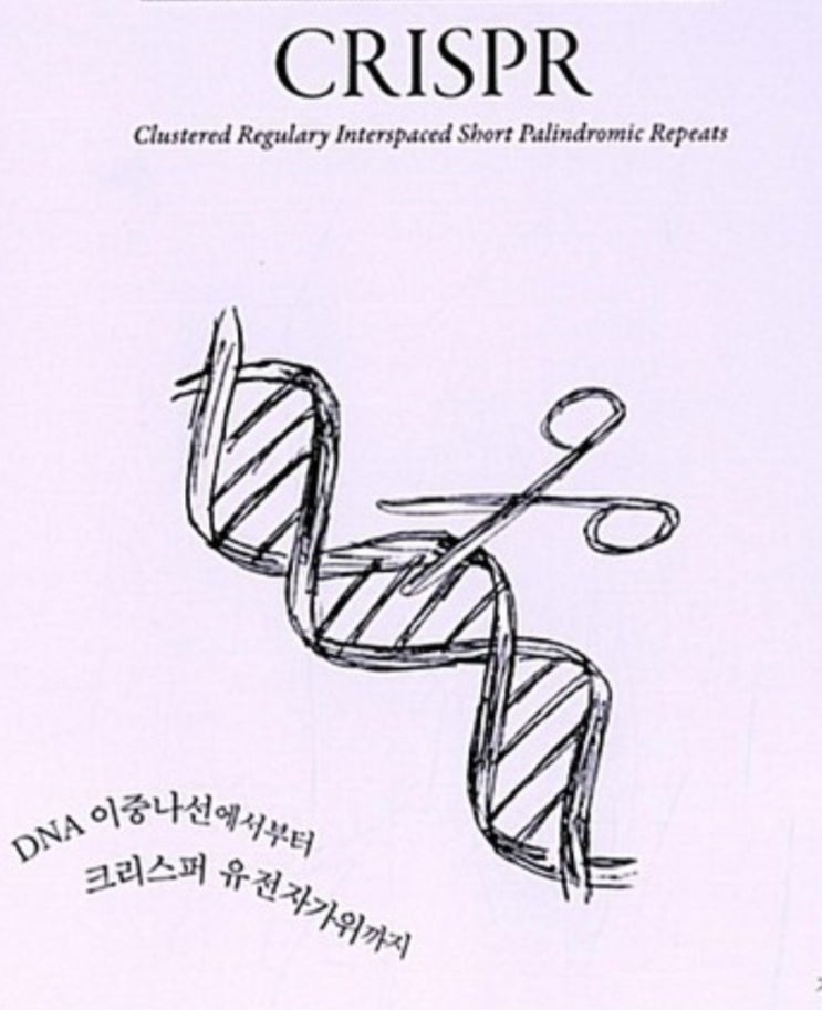  투장종목#1  크리스퍼 3대장 매수 1~6회차