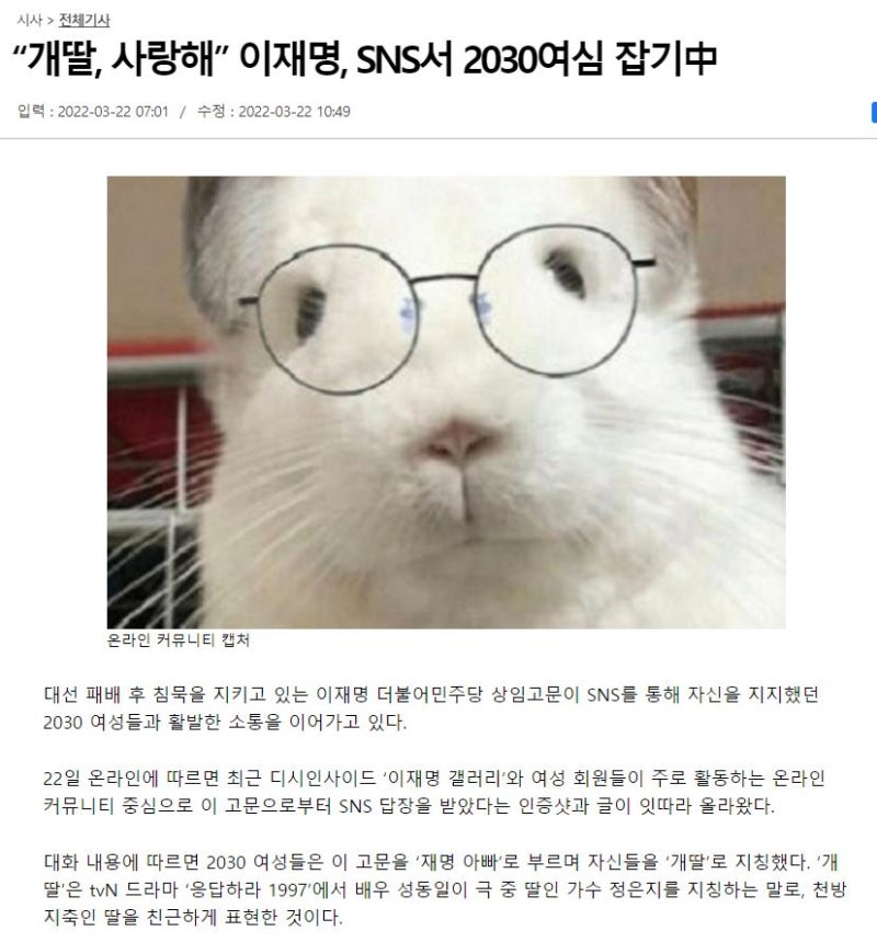 친칠라 이재명 팬아트 잼칠라 모음 : 네이버 블로그