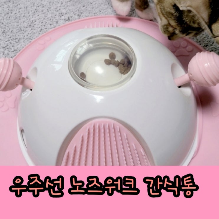 우주선 노즈워크 간식통 고양이 장난감 으로 구매 사용후기
