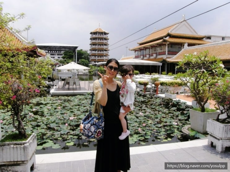 태국 방콕 파타야 패키지여행 자유여행 장단점