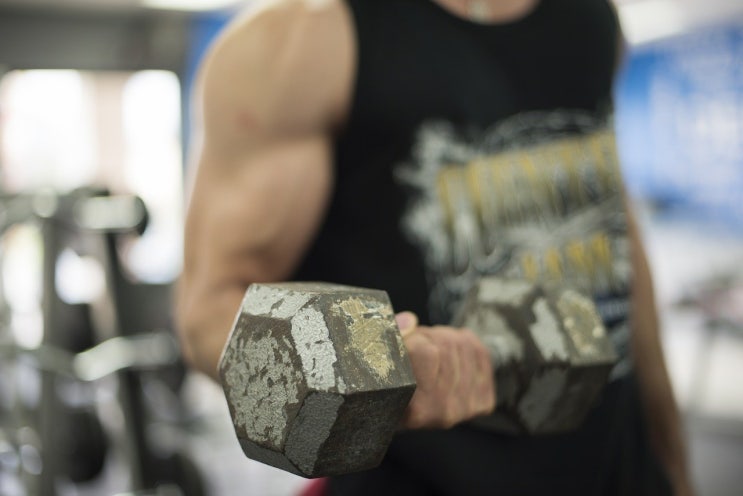 운동 근육 수축 이완 정확히 무슨 뜻일까?
