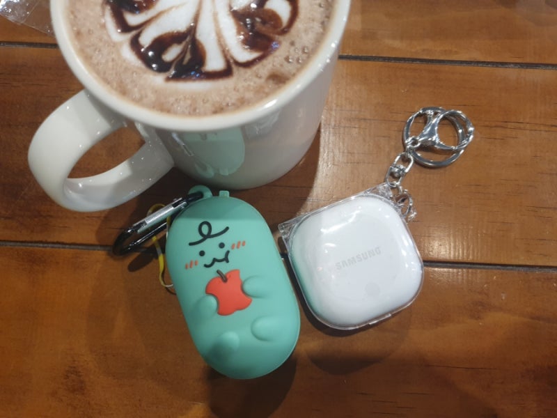 삼성전자 갤럭시 버즈2 그라파이트 구입 (부제: 맥북과 연결은 글쎄..)