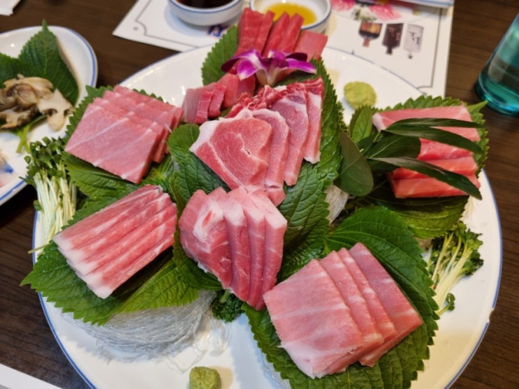  [맛집][참치][광화문] 오양회참치