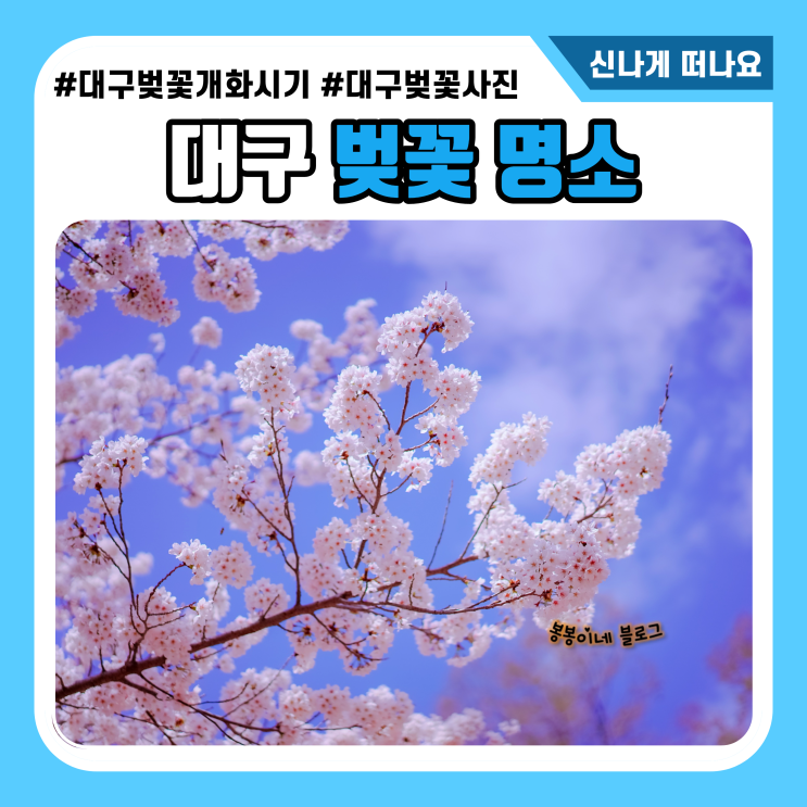  대구 벚꽃 개화시기 벚꽃명소 에서 인생샷 담아봐요