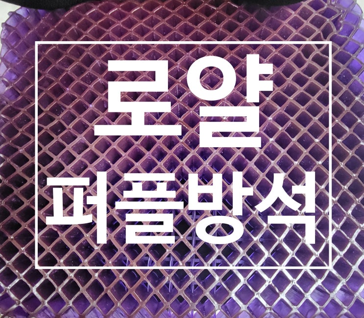  고시생필수품, 허리아픈좌식노예 필수품 로얄퍼플방석 솔직후기