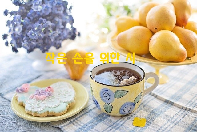  작은 손을 위한 시