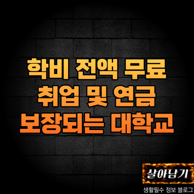  육군 3사관학교 편입 방법, 시험 전형,지원 시기, 지원자격, 육군사관학교 차이 등 모든 것