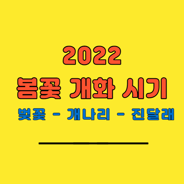 2022 봄꽃 개화시기 총정리 : 벚꽃, 개나리, 진달래
