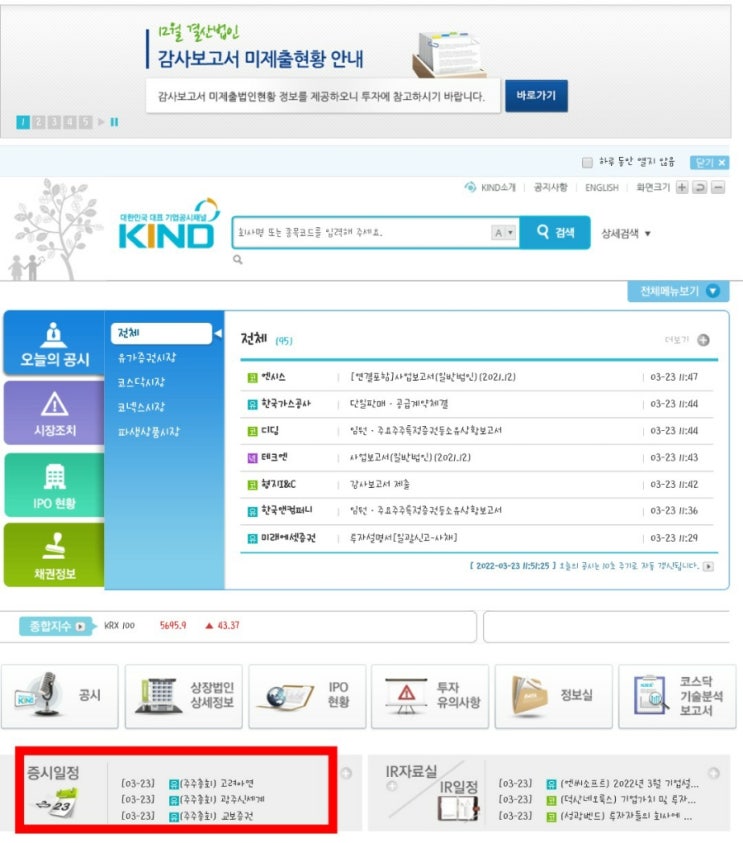  감사보고서 제출여부(주가를 흔드는 요인)