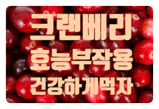  크랜베리 효능 먹는방법 부작용 고르는방법