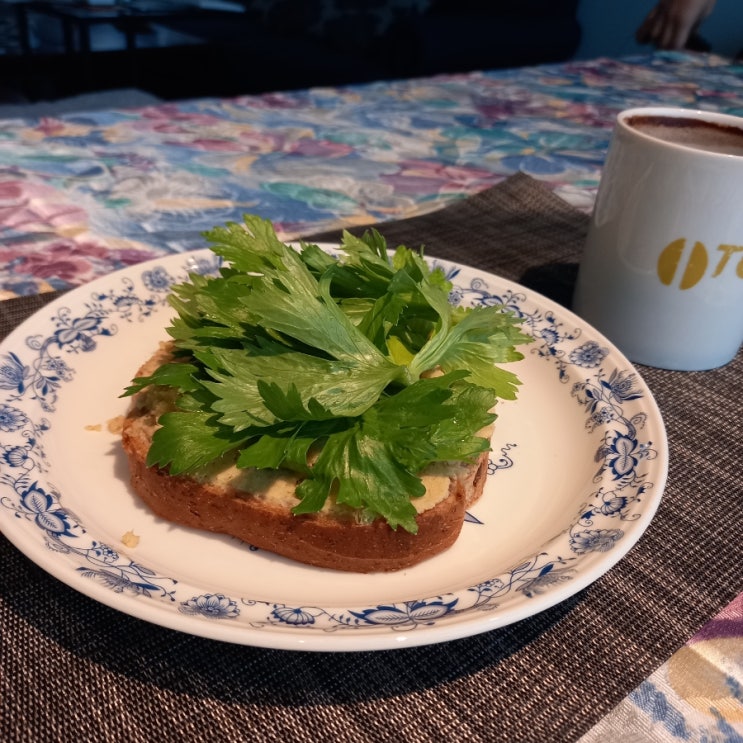  병아리콩 후무스 (Hummus) 만들기. 샐러리 오픈샌드위치 | 병아리콩 효능 및 영양성분 (일렉트로룩스 핸드블렌더)