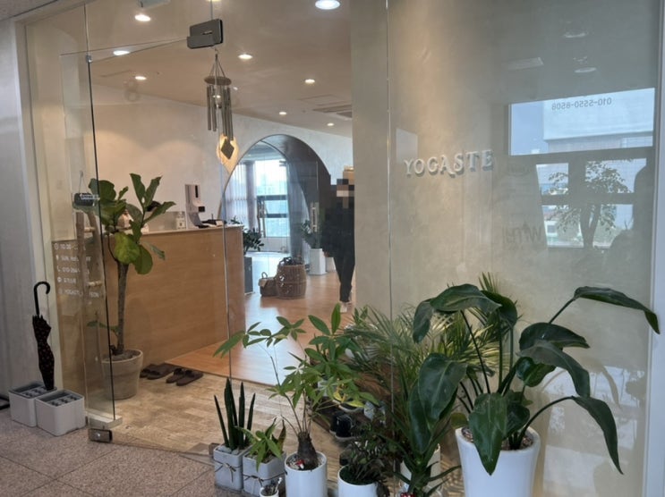  부평시장역요가 학원 요가스테 2주 후기, 내가 근육통 푸는법/부평요가