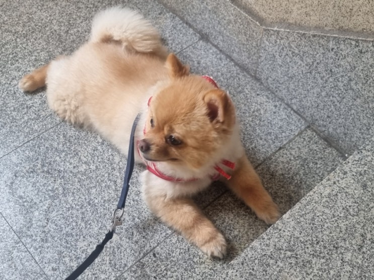  다양한 사랑이 사진 모음