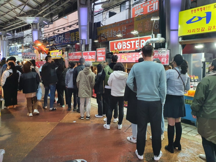  제주 동문시장 야시장 구경하고 맛있는 전복김밥과 회 한접시